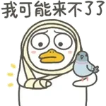 日常动图表情     1