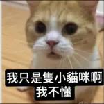 可爱猫仔贴纸-要唔可以抱下（2）