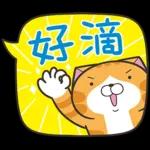 HR
WANTED
10
(暗中觀察)
8.
自備87元
馬拉