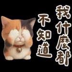 花貓可愛日常實用貼圖
