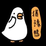 白白的購物鴨🦆 
