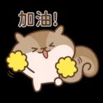 Q松鼠Q♡你好♡4