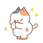                              Shelby CuyTOP STICKERS