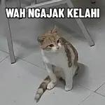 你在想什么啊？