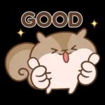 Q松鼠Q♡你好♡4