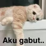ghhgg