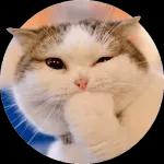 今日熱門表情，真的不來看看嗎