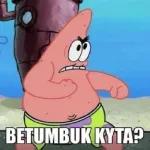Patrick dan sahabat