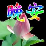 注意保暖 《露露》