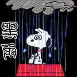 下雨了，記得帶雨具！