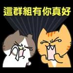  暑埋一二角
Geor
Jentle
cat
小
唔好搵命搏