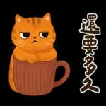 躲貓貓3-貓咪小插畫