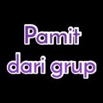 Pamit dari grup