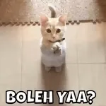                             hehe dekTOP STICKERS