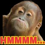 ini bocah pasti goblok