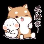 有你真好，為你加油 ⛽️