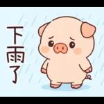 小豬豬愛聊天