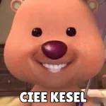 GEMESS UNCH