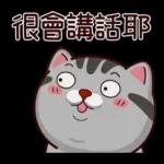塔仔不正經 奇怪啪