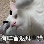 樂狗有話兒~~知我咩料啦