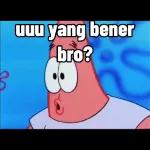 kontol