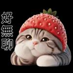 唔好問我，我乜嘢都唔知