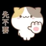 可愛貓貓❤貼心日常❤7