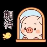 小豬豬愛聊天