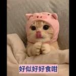入坑