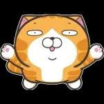lazycat-25n