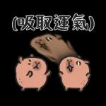 小水豚哋玩喺埋一齐