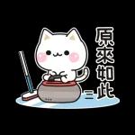 善解人意的貓貓