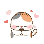                              Shelby CuyTOP STICKERS