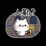善解人意的貓貓