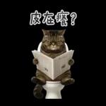 廁所貓貓✩別吵!我在用力✩
