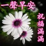 早安愉快🌹🌹🌹平平安安才是福🧧