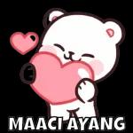 beruang mencintaimu