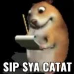 meme