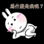 炸彈兔兔 4