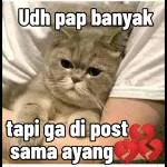 Udh pap banyak tapi ga di post sama ayang