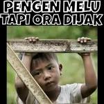 jgn didengerin dia lg kumquat