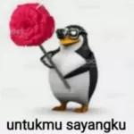 by pcr jeno