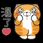 喵星人驾到