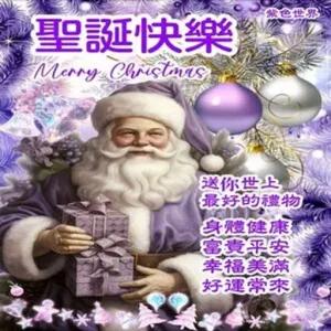 聖誕快樂 Merry Christmas 紫色世界 送你世上 最好的禮物 身體健康 富貴平安 幸福美滿 好運常來 - getsticker.com
