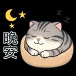 貓系列(4)-灰色虎斑貓