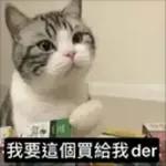 日常百貨