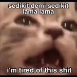 bima
@nrtma
Tweet
pengen ngamuk
00.10 05/03/22 Twitter for iPhone
27