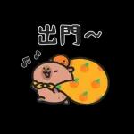 小水豚哋玩喺埋一齐