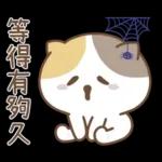 可愛貓貓❤貼心日常❤7