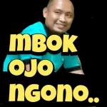 Saya dari Jawa（2）